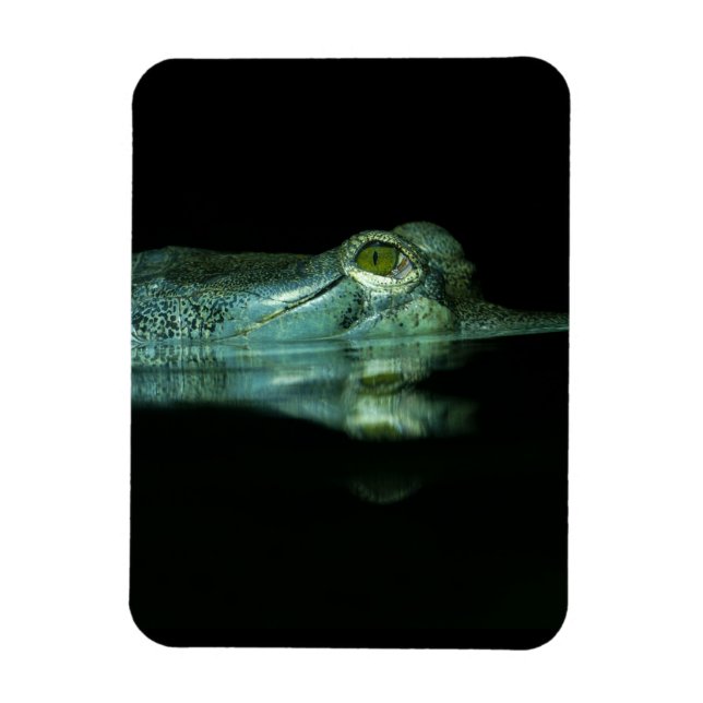 Ímã O Olho Do Gavial (Vertical)