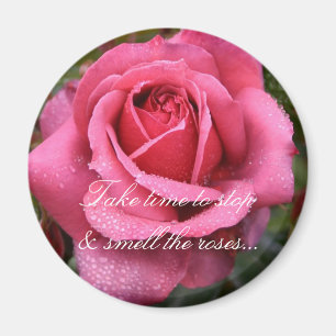 Imã O orvalho beijou o rosa do rosa!