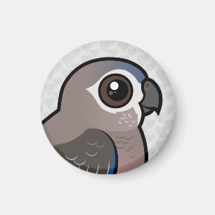 Imã O papagaio de Bourke