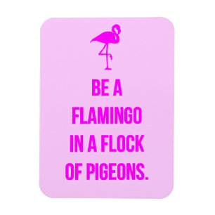 ÍMÃ O PARECER FLAMINGO ENGRAÇADO É UM EM UM BANCO DE