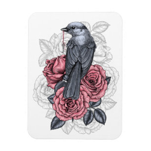 Ímã O pássaro com a chave prateada