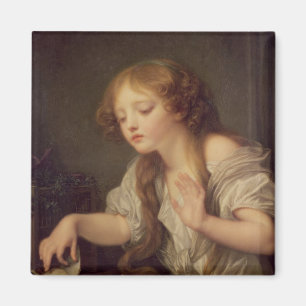 Imã O Pássaro Morto