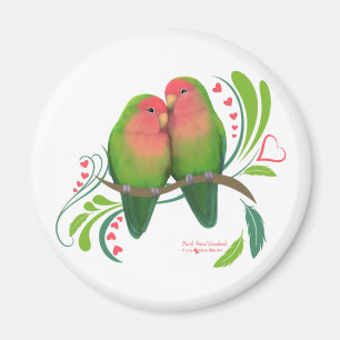 Imã O pêssego enfrentou pássaros do amor