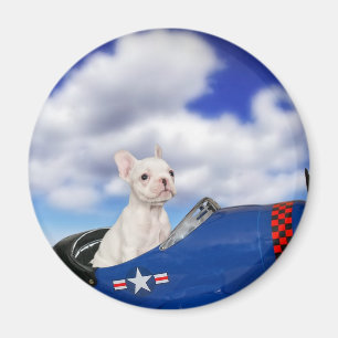 Imã O piloto pequeno