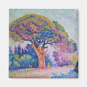 Imã O pinheiro em St Tropez, 1909