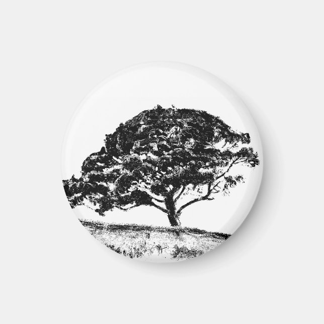 Imã O pinho de Bonaventura (Frente)