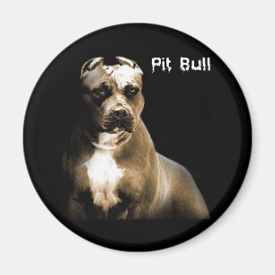 Imã O PITbull