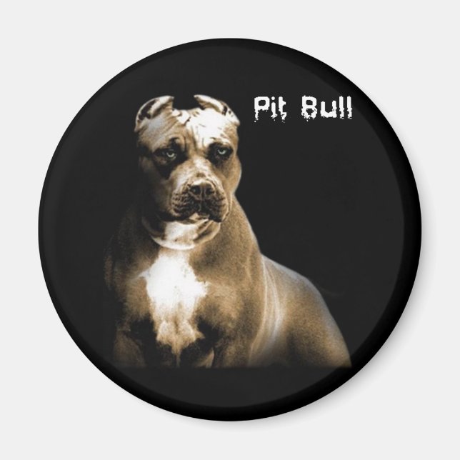 Imã O PITbull (Frente)