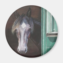 Imã O poço da Baía está a sair do celeiro