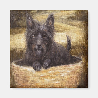 Imã O poderoso Magneto Companion