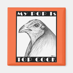 Imã O pop é Cockbird superior