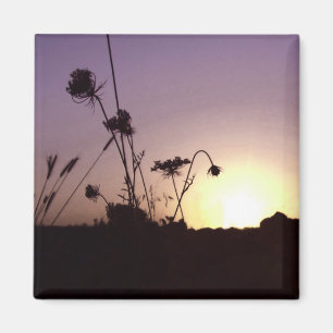 Imã O por do sol floresce o ímã