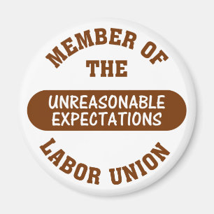 Imã O prazo deste projeto é completamente irrazoável