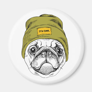 Imã O Pug   do hipster é legal