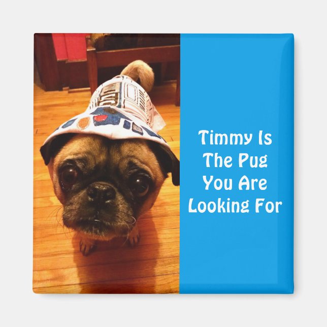 Imã O Pug Que Você Está Procurando (Frente)