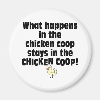 Imã O que acontece na colher de frango