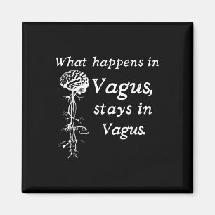 Imã O Que Acontece No Vagus Permanece No Sistema Nervo