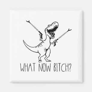 Imã O Que Agora Bich Fofinho T Rex Dinossauro Dizendo