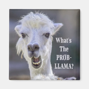 Imã O que é o Prob-Llama? LLAMA Engraçado