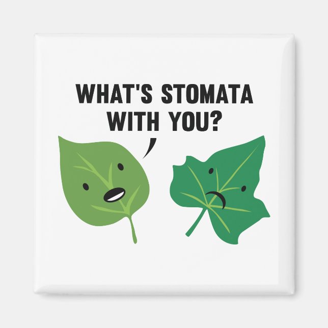 Imã O que é Stomata com você? (Frente)
