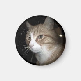 Imã O que ele está pensando?