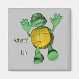 Imã O que há de melhor