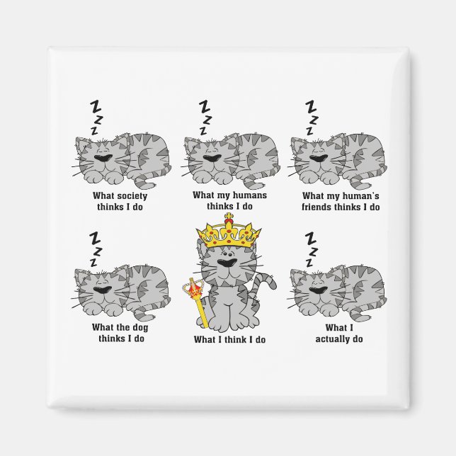 Imã O Que O Gato Acha Engraçado (Frente)