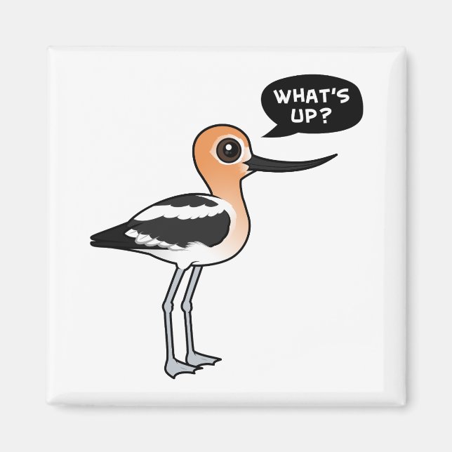 Imã O que se passa? (Frente)