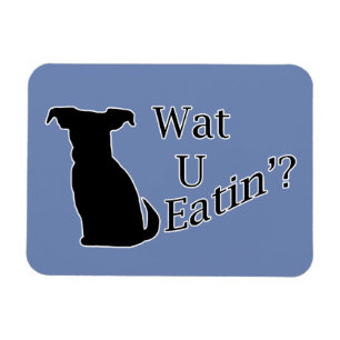Ímã O Que Você Está Comendo Cão