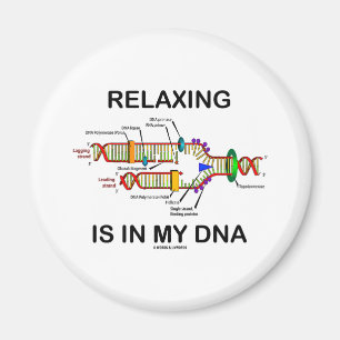 Imã O Relaxamento Está No Meu DNA (Replicação De DNA)