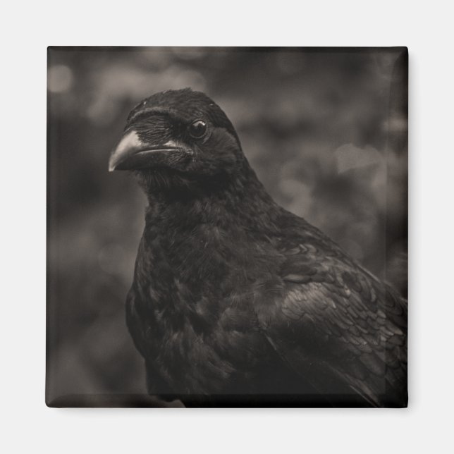 Imã O Requerente (Frente)