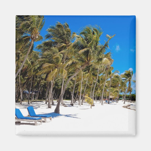 Imã O Resort Moorings, Marathon, Key West, 3 (Frente)