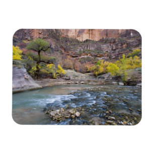 Ímã O rio Virgin no outono no Parque Nacional Zion