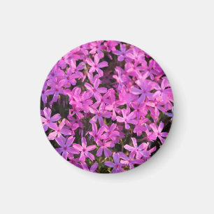 Imã O roxo bonito floresce o ímã