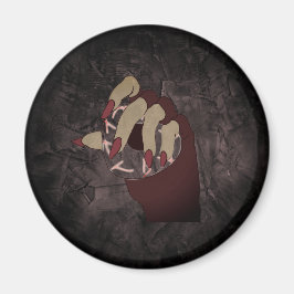 Imã O Segredo do Veer