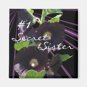 Imã O segredo, irmã Ímã-personaliza