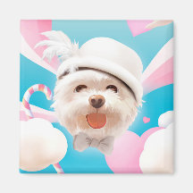 O seu ímã de sorrir