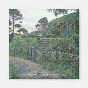 IMÃ O SHIRE™