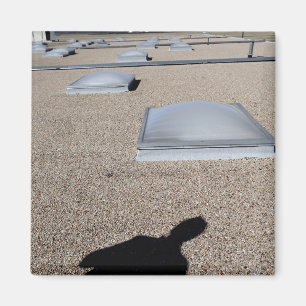 Imã O sistema de iluminação do dia solar