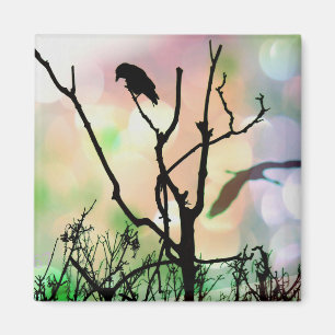 Imã O Solitário Crow Magnet