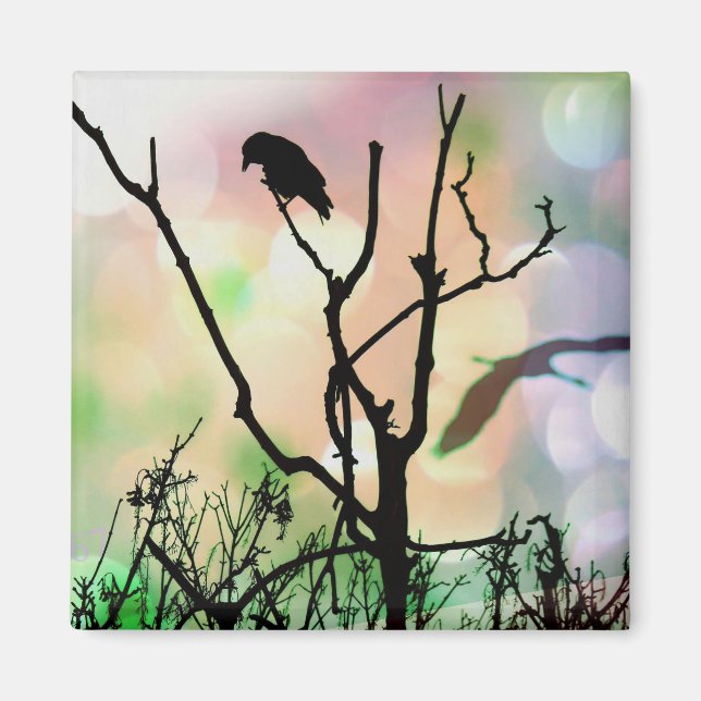 Imã O Solitário Crow Magnet (Frente)