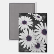 O Sutil Contraste da Natureza