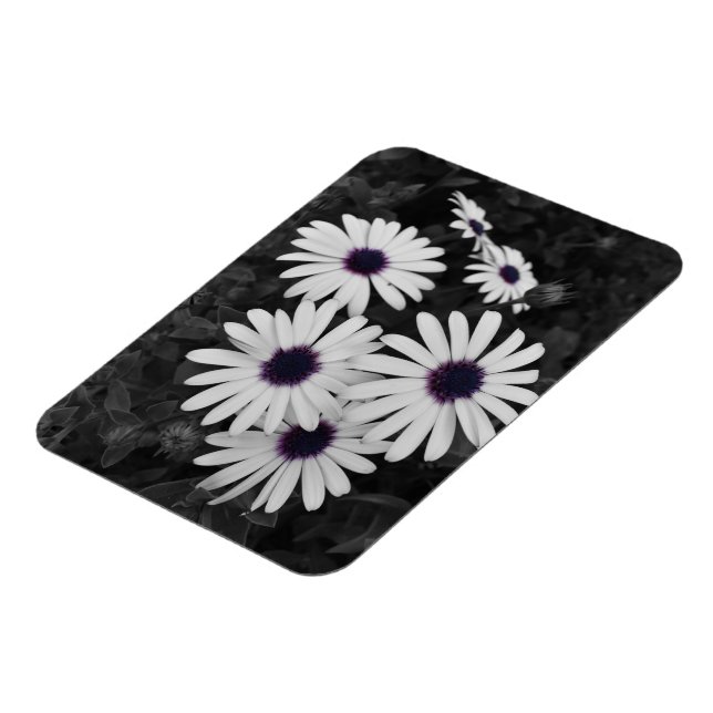 Ímã O Sutil Contraste da Natureza (Left Side)