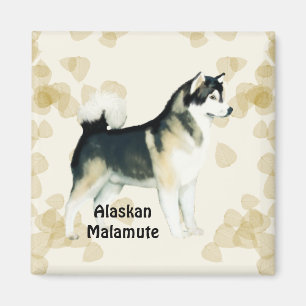 Imã O ~ Tan do Malamute do Alasca sae de Motiff