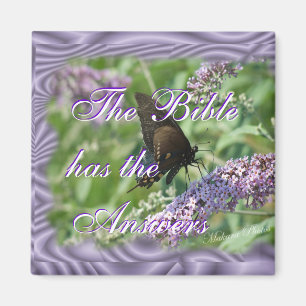 Imã O theAn de Biblehas…