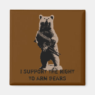 Imã O urso arma o urso de urso