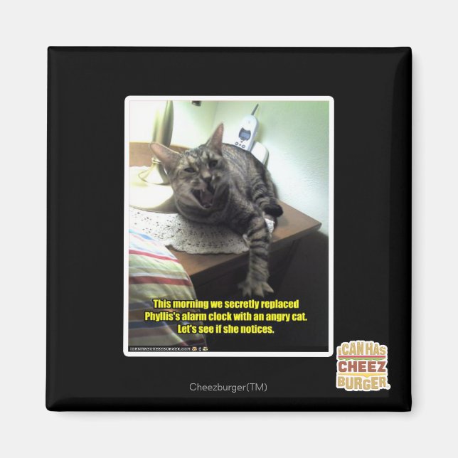 Imã O vamos vê se ela percebe. (Frente)