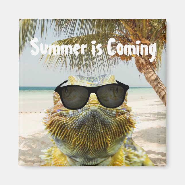 Imã O verão está chegando (Frente)