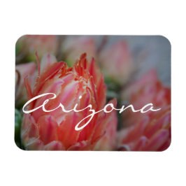 Ímã O verão floresce da Arizona