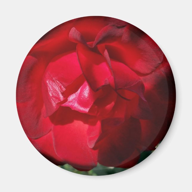 Imã O vermelho do outono (Frente)